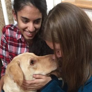 Meet your Posher, Sophie